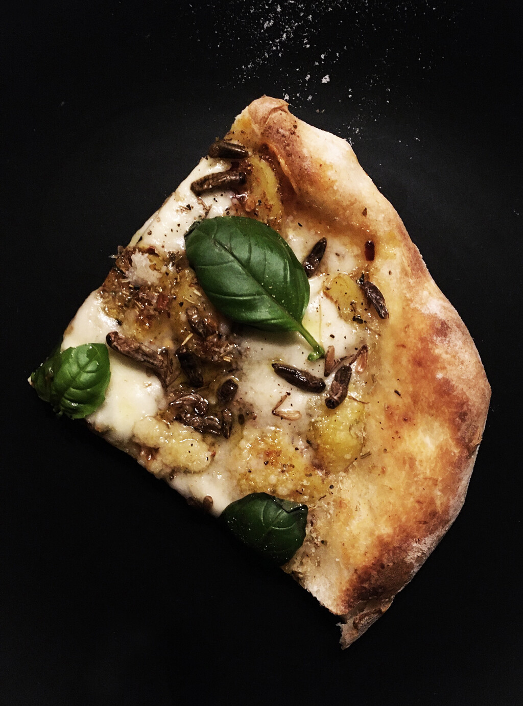 Sour cream, potatoes, oregano, rosemary, mozzarella, basil leaves, black pepper, chili-infused olive oil, smoked crickets.   